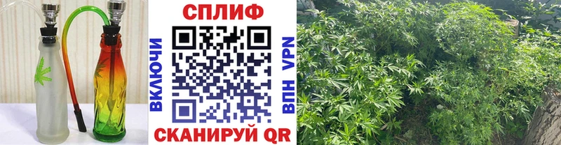 Наркошоп купить Cocaine  Экстази  СК  Канабис  Меф  Павловский Посад