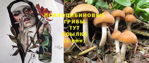 прущие крисы Инта